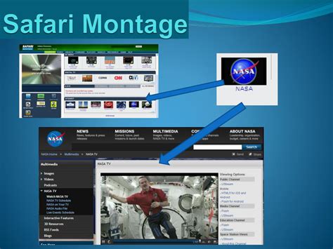 PPT - Safari Montage Live! PowerPoint Presentation, free download - ID:5890556