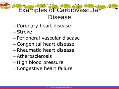 Ppt Ch 11 Cardiovascular Disease Powerpoint Presentation Free