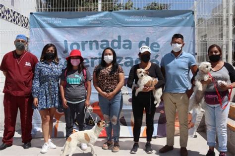 Con Xito Se Llev A Cabo Jornada De Esterilizaci N En Amozoc