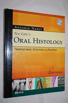 Ten Cate S Oral Histology Development Structure And Function By