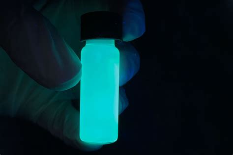 Glow Worm Tours Blue Mountains Bioluminescent Bacteria Grow Kit