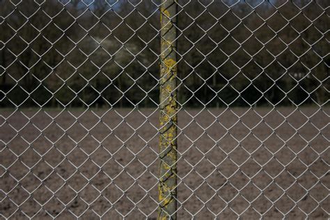 Transform Your Chain Link Fence Into A Backyard Oasis