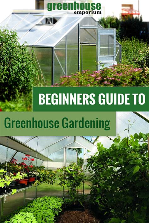 Greenhouse Gardening For Beginners - Where To Start?