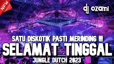 Satu Diskotik Pasti Merinding Dj Selamat Tinggal X Pergilah Kasih