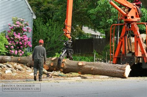 Does Homeowners Insurance Policy Cover Tree Removal Ksd Insurance