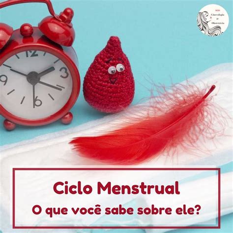 O Ciclo Menstrual é Um Processo Fisiológico Natural Que Ocorre De Modo