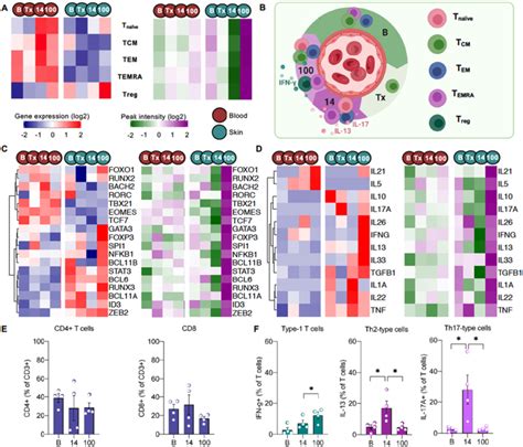 Transcriptional And Chromatin Landscape Dynamics Of Lineage Specific