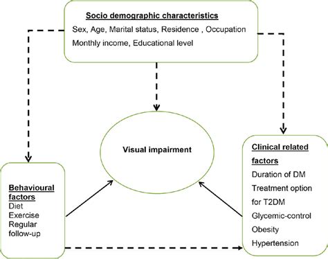 Conceptual Framework Adapted From Different Literatures Illustrating