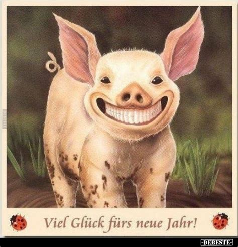 Sparschwein Spr Che Lustig Lustige Spr Che