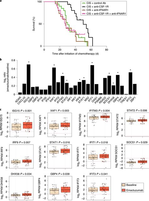 Csf 1r Blockade Increases The Expression Of Intratumoural Type I Ifn Download Scientific