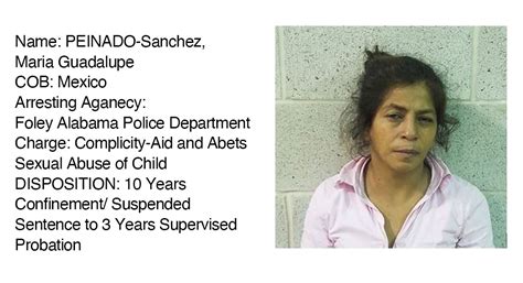 Rgv Agents Arrest Convicted Sex Offender Texas Border Business