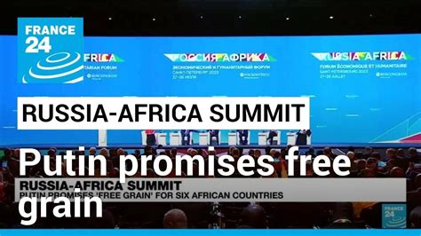 Putin Promises Free Grain For Six African Countries At Summit In Russia