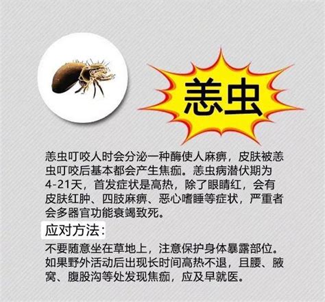 夏季毒蟲叮咬高發 嚴重可致人死亡！擴散這份防蟲手冊！ 每日頭條