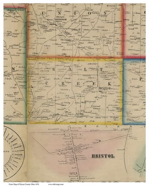 Salt Creek Ohio 1856 Old Town Map Custom Print Wayne Co Old Maps