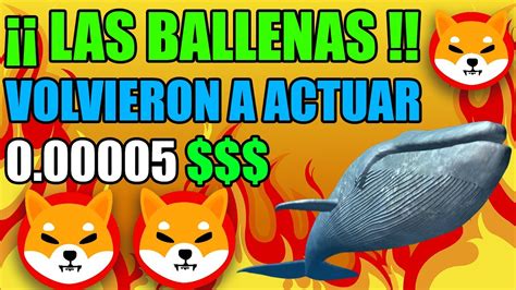 BALLENAS DE SHIBA INU ACTÚAN FUERTE BUEN MOMENTO PARA COMPRAR SHIBA