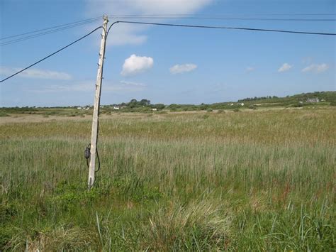 Reed Bed Jonathan Wilkins Cc By Sa 2 0 Geograph Britain And Ireland