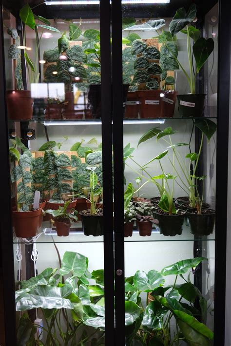 Build an Ikea Greenhouse Cabinet — Terrarium