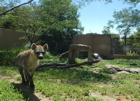 高知縣立野市動物公園 景點指南、常見問題、星評、周邊景點 And 交通資訊 好運日本行