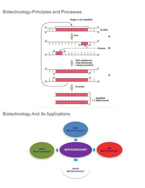 SOLUTION: All biology important diagrams - Studypool