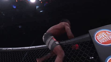 Fight Celebration By Bellator Find Share On Giphy