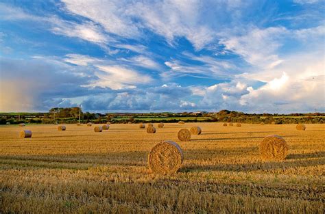 ボード「Northern Plains & the Early Grain Trade」のピン