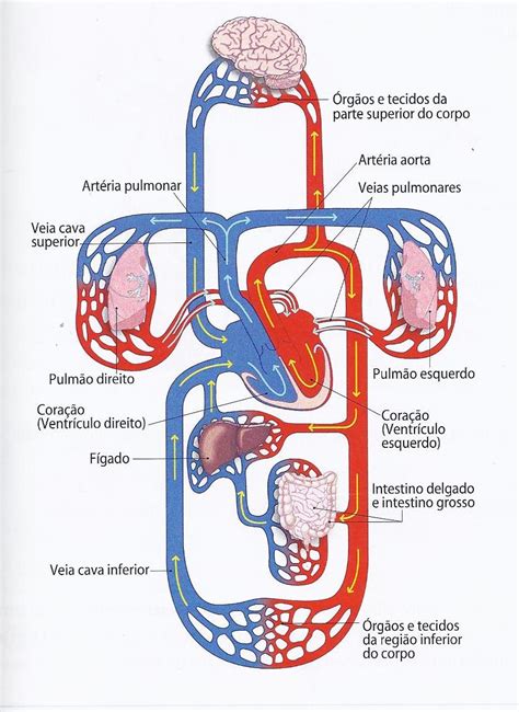 Espaço Vivo