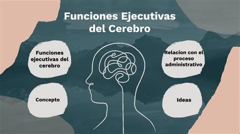 Funciones Ejecutivas Del Cerebro By Dayana Hernandez On Prezi