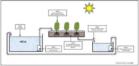 Aquaponics Plumbing Diagram - Wiring Diagram Pictures