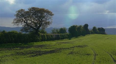 Visit Ripley: 2024 Travel Guide for Ripley, England | Expedia