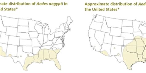 An Epidemic 14 Years Ago Shows How Zika Could Unfold In The US