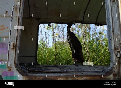 Urban Exploration At Abandoned Train Station Stock Photo Alamy