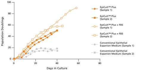 Epicult™ Plus Epithelial Stem Cell Culture Medium Stemcell Technologies