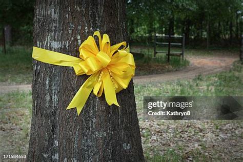 3006 Yellow Ribbon Stock Photos High Res Pictures And Images Getty