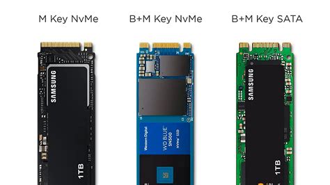 Les Meilleurs Disques Ssd M De Test S Et Valu S Par Des