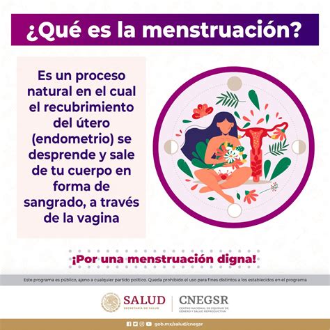 Secretar A De Salud De La Ciudad De M Xico On Twitter El Proceso De