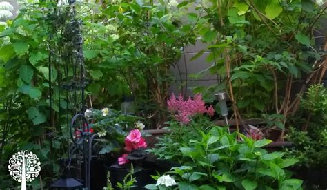 Tips For Creating A Small Space Garden Garden Culture Magazine