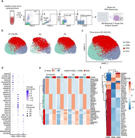 Single Cell Transcriptome Profiling Reveals Neutrophil Heterogeneity In