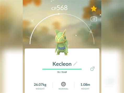 Kecleon Rare Find Shiny Pokemon for Pokemon Go. Registered - Etsy