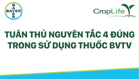 Nguyên Tắc 4 đúng Trong Việc Sữ Dụng Thuốc Bvtv