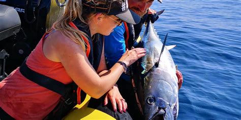 Comment Pêcher Le Thon Emplacement Et Technique