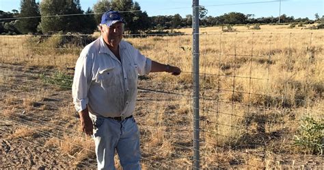 Waratahs Exclusion Fence Deters Threat Queensland Country Life Qld