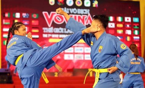 Vietnamese artists dominate world vovinam championship