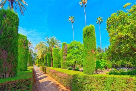 Premium Photo | Gardens of royal alcazar in seville and grotto gallery ...