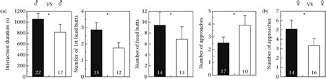 Significant Effects Of Dsx Rnai On Behaviour In Same Sex Interactions