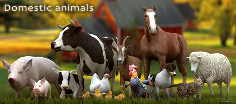 3d Models Domestic Animals By 3drtcom 10