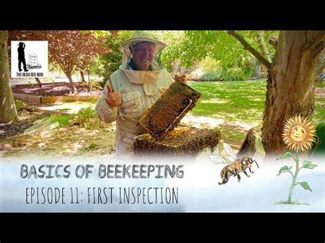 How to Perform a Bee Hive Inspection: Summer Hive Maintenance | The ...