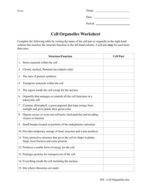 Cell Organelles Worksheet 2