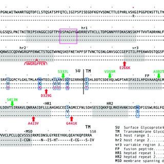 Selection Of ASLV B Viruses Resistant To STvb S3 MIgG Viral Growth