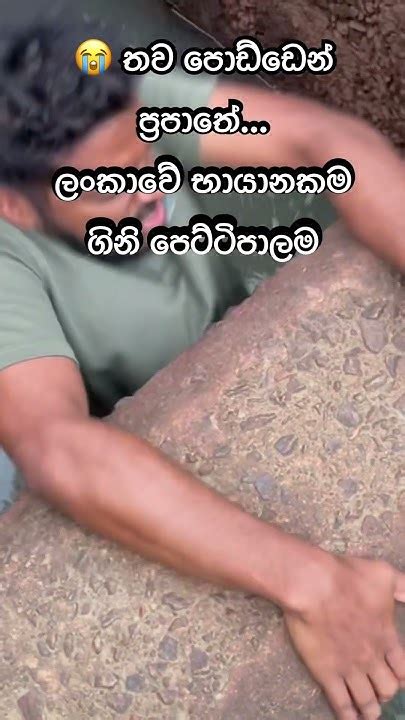 😱ගිනිපෙට්ටි පලමේ උඩින් ගිහින් තියෙන්වද😭 💦shorts Hambantota Travel