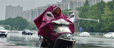 冷空气来了！桂林将开启降温雨雨雨模式，气温就像过山车！中雨局部广西